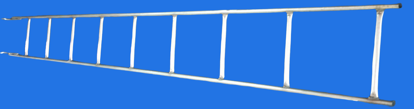 Scaffold Ringlock System/steel ladder